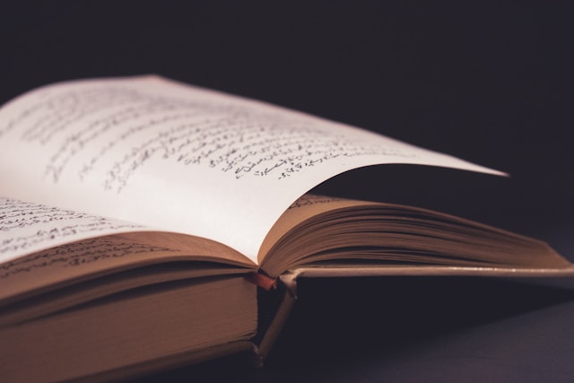 areej-fateyma-YN2kOv8y9Ho-unsplash